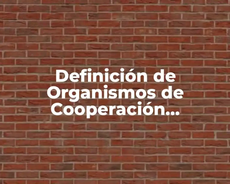 Definición de Organismos de Cooperación Económica Internacional