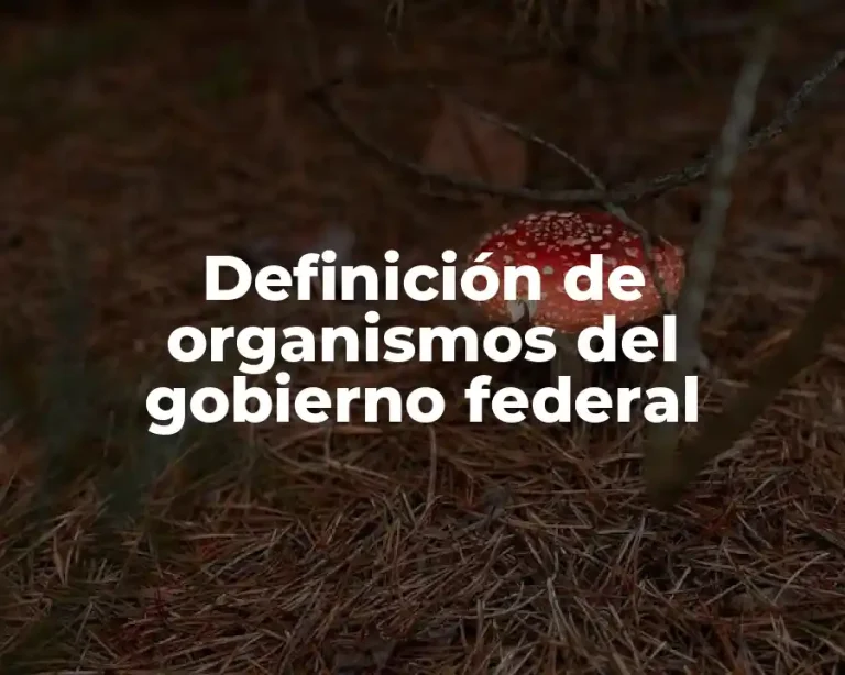 Definición de organismos del gobierno federal
