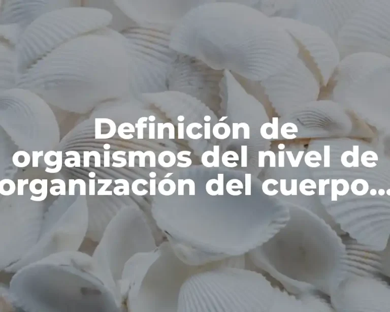 Definición de organismos del nivel de organización del cuerpo humano