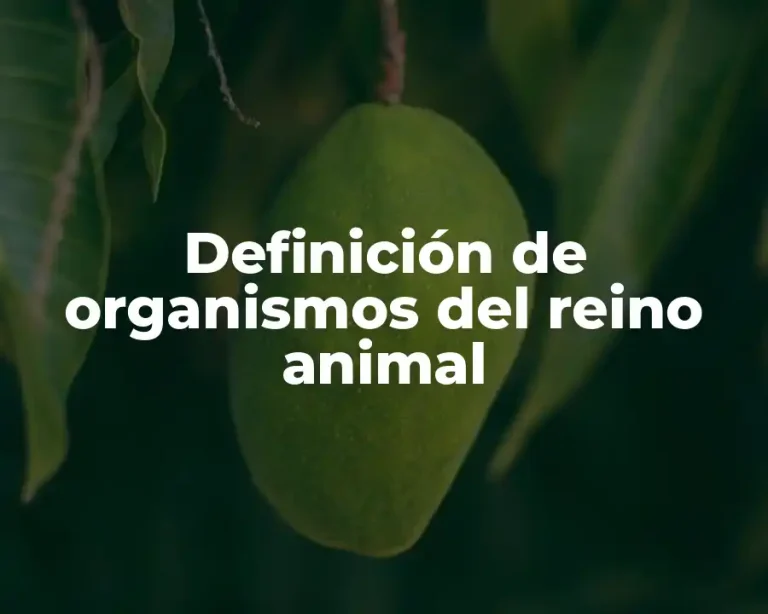 Definición de organismos del reino animal