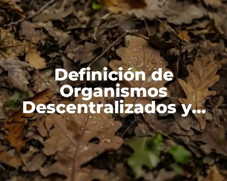 Definición de Organismos Descentralizados y Cuales Son