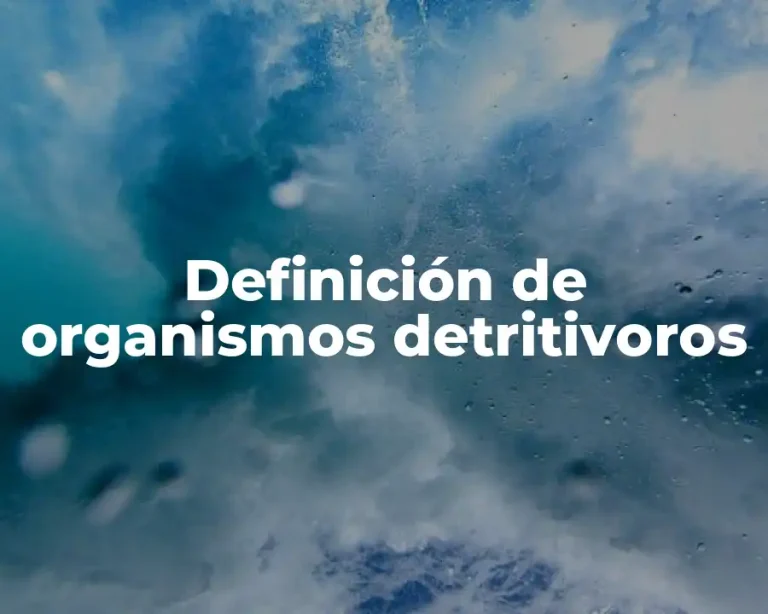 Definición de organismos detritivoros