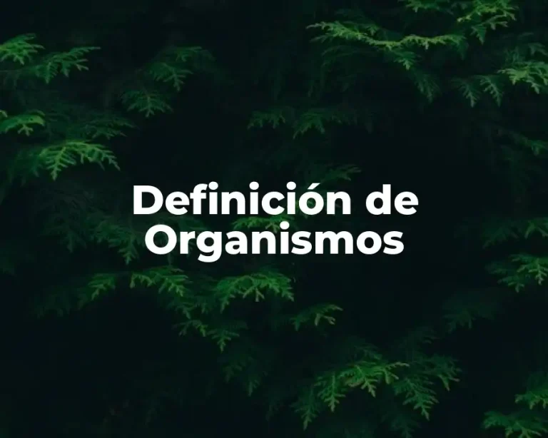 Definición de Organismos