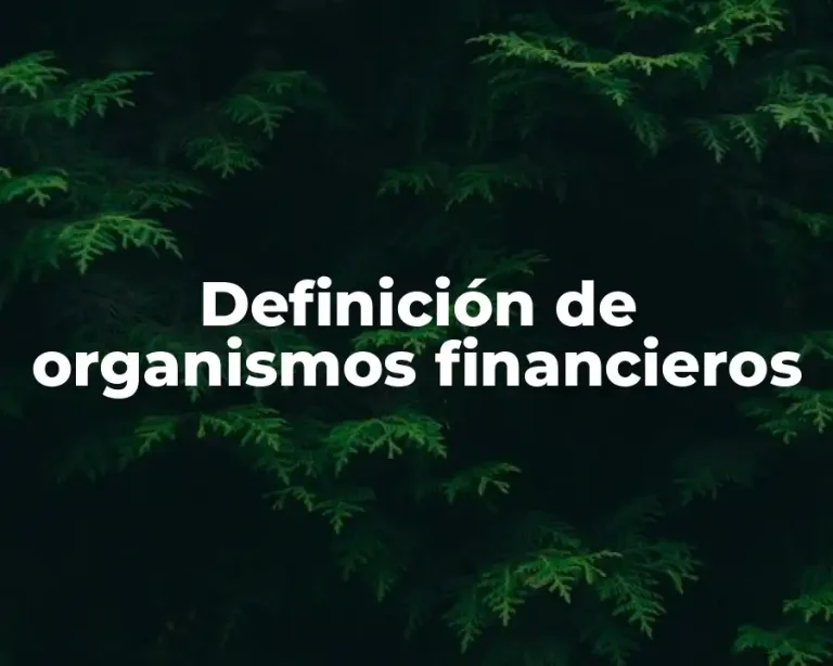 Definición de organismos financieros