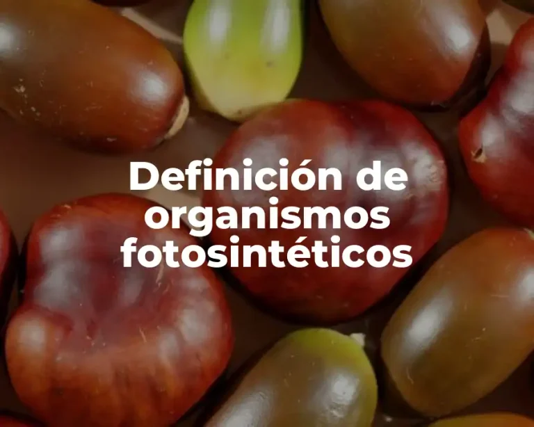 Definición de organismos fotosintéticos