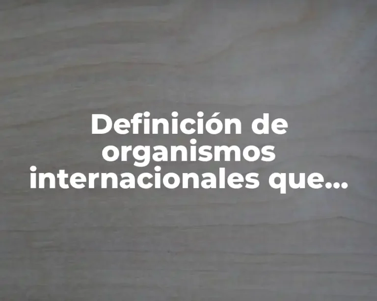 Definición de organismos internacionales que regulan la actividad empresarial