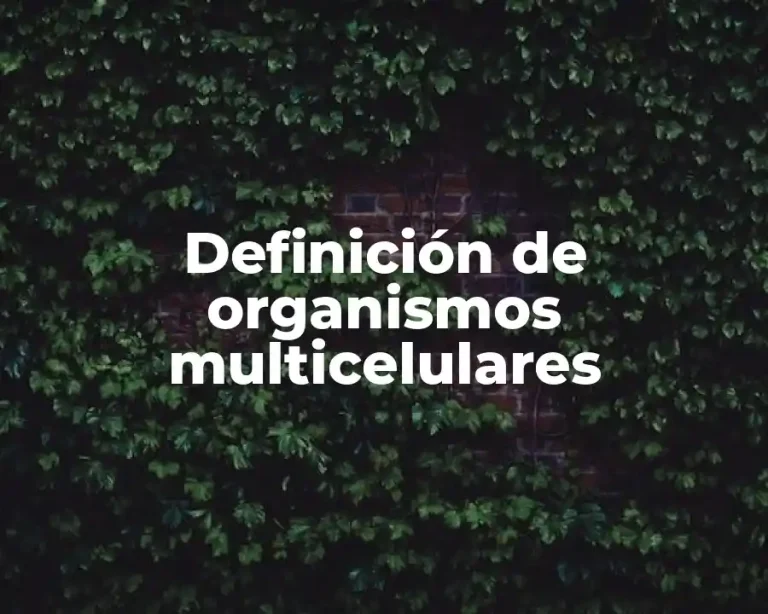 Definición de organismos multicelulares