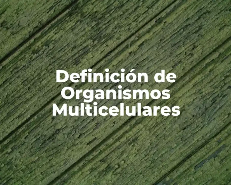 Definición de Organismos Multicelulares