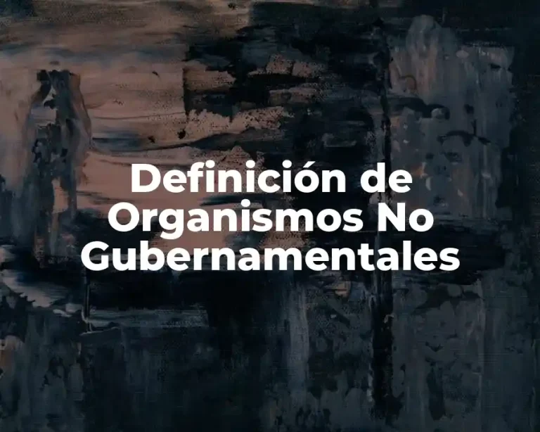 Definición de Organismos No Gubernamentales