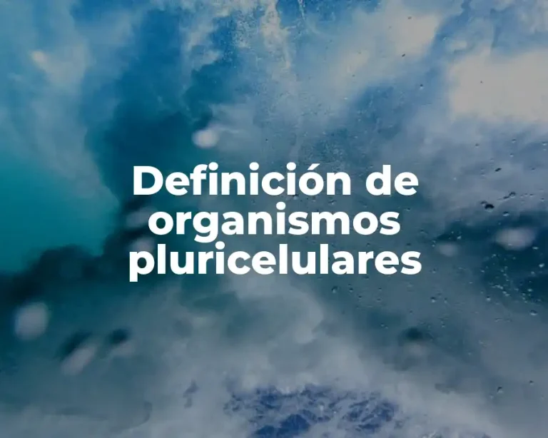 Definición de organismos pluricelulares
