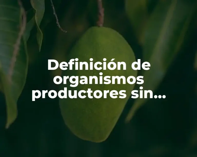 Definición de organismos productores sin finalidad de lucro en México