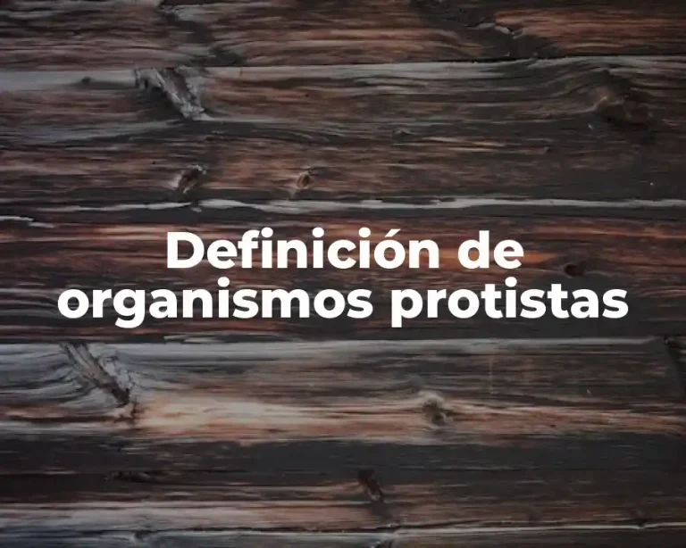 Definición de organismos protistas