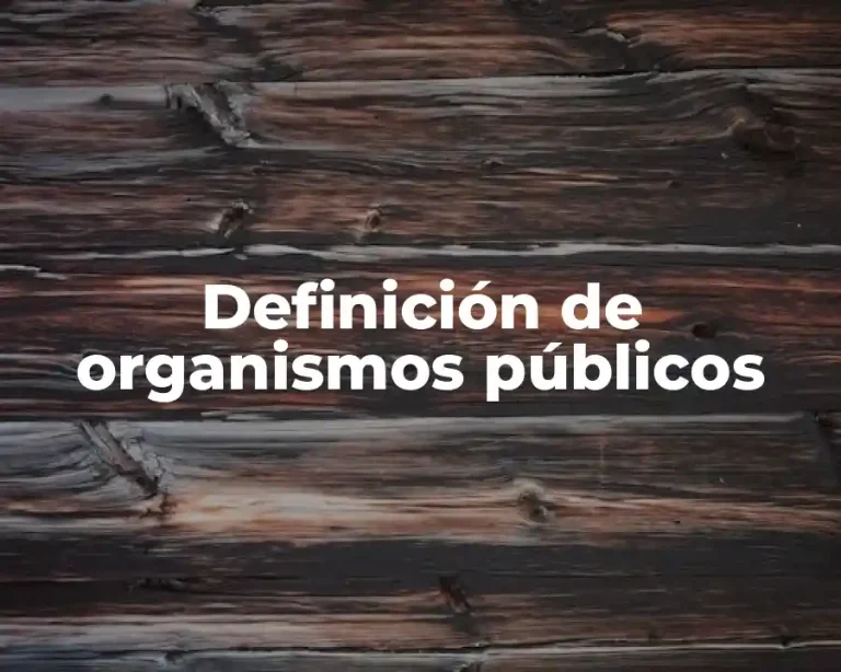 Definición de organismos públicos