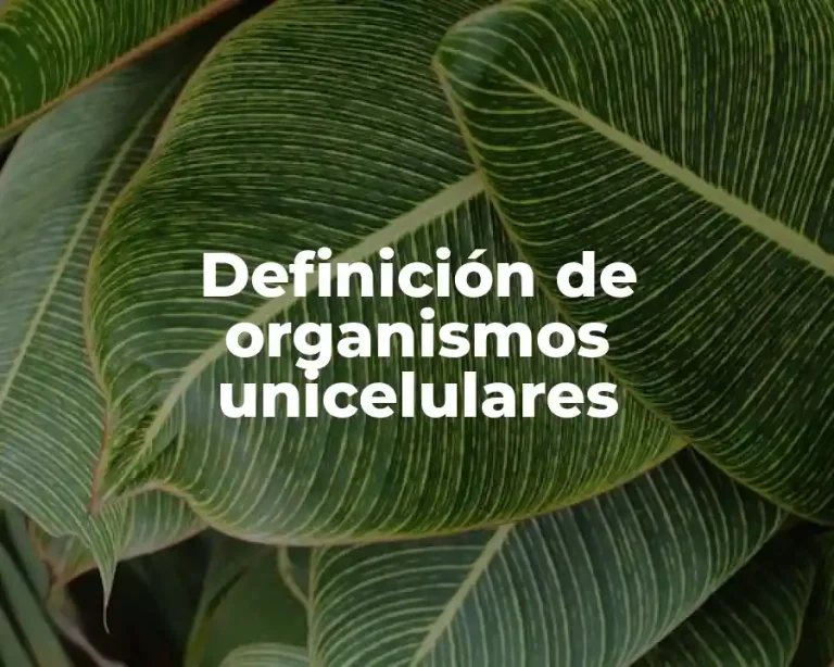 Definición de organismos unicelulares