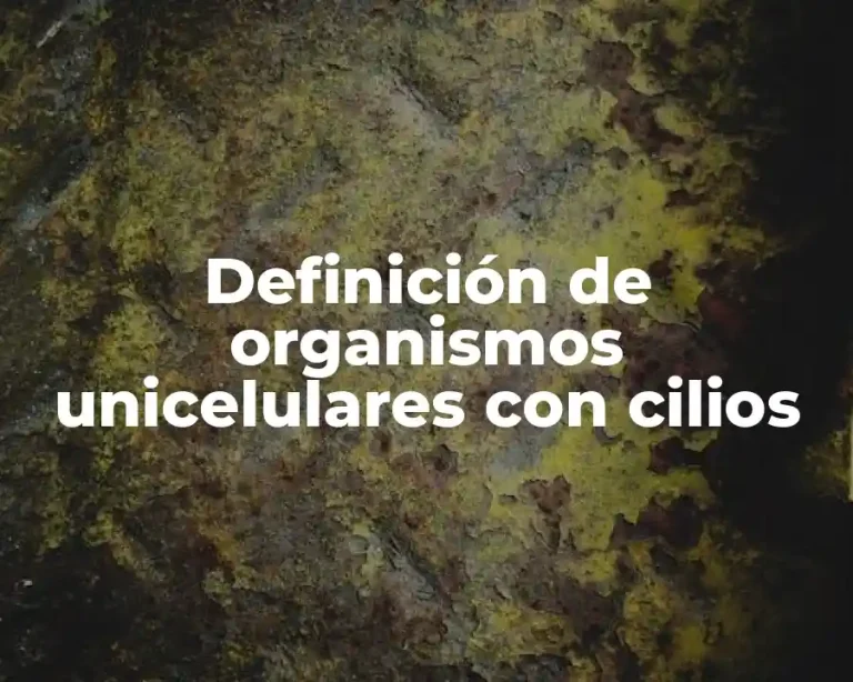 Definición de organismos unicelulares con cilios