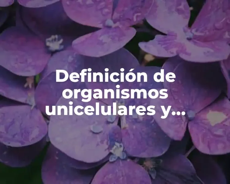 Definición de organismos unicelulares y pluricelulares