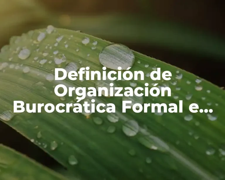 Definición de Organización Burocrática Formal e Informal