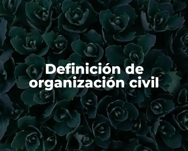 Definición de organización civil