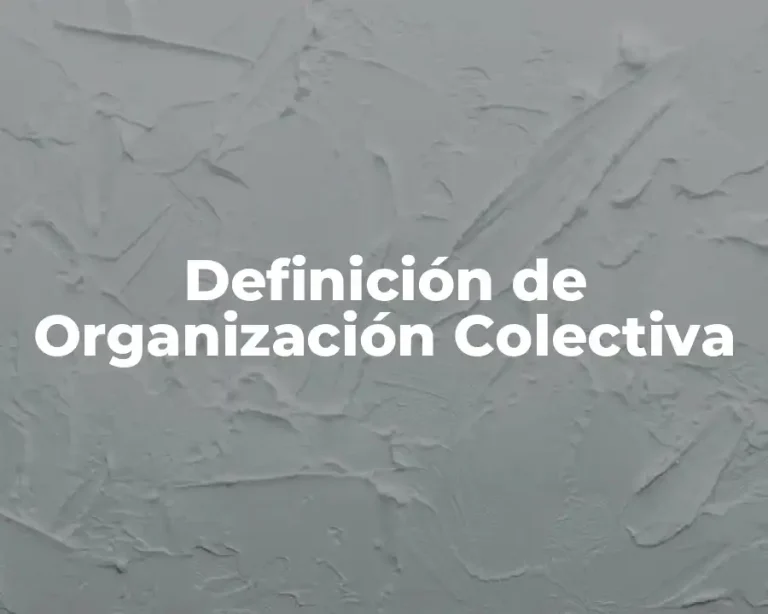Definición de Organización Colectiva