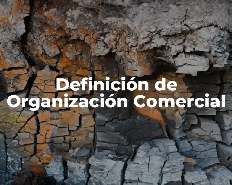 Definición de Organización Comercial