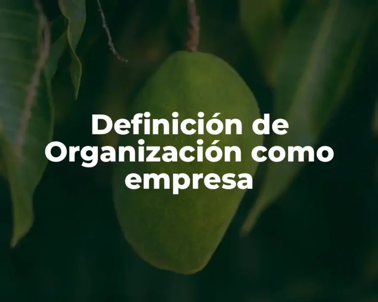 Definición de Organización como empresa