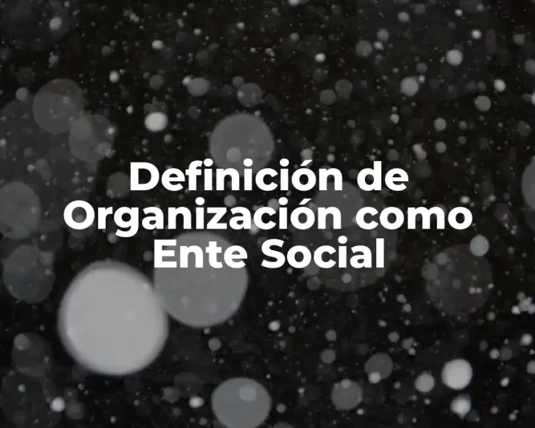 Definición de Organización como Ente Social