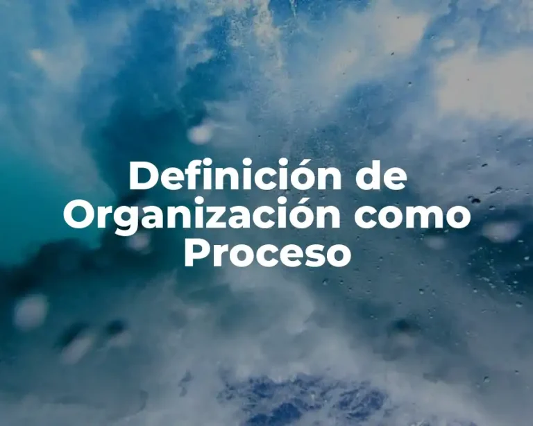 Definición de Organización como Proceso