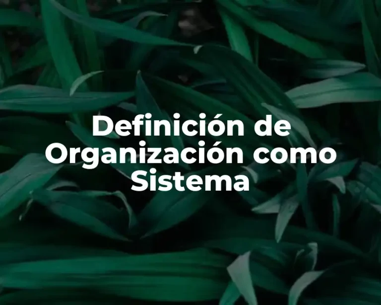 Definición de Organización como Sistema