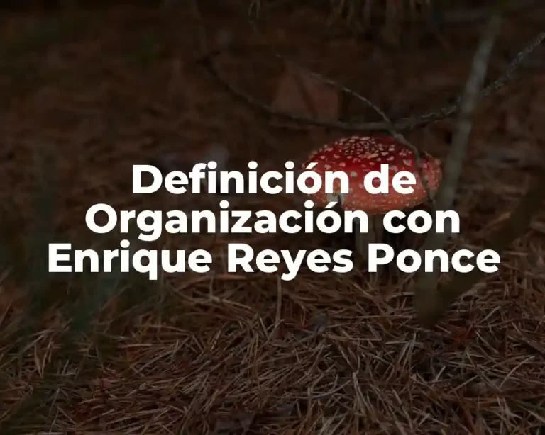 Definición de Organización con Enrique Reyes Ponce