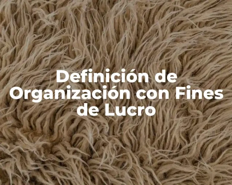 Definición de Organización con Fines de Lucro