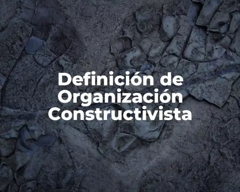 Definición de Organización Constructivista
