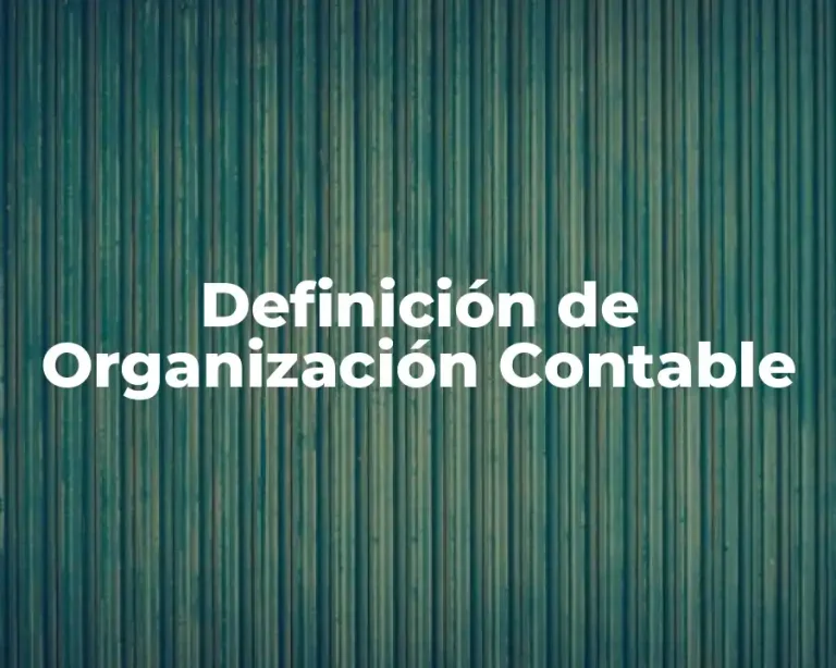 Definición de Organización Contable