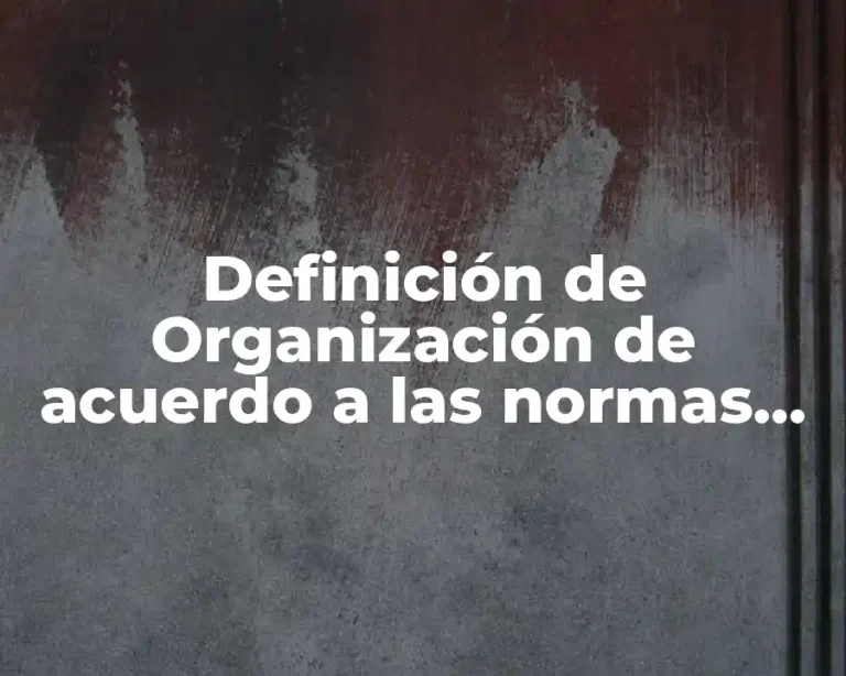 Definición de Organización de acuerdo a las normas ISO
