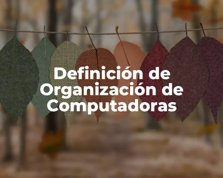 Definición de Organización de Computadoras