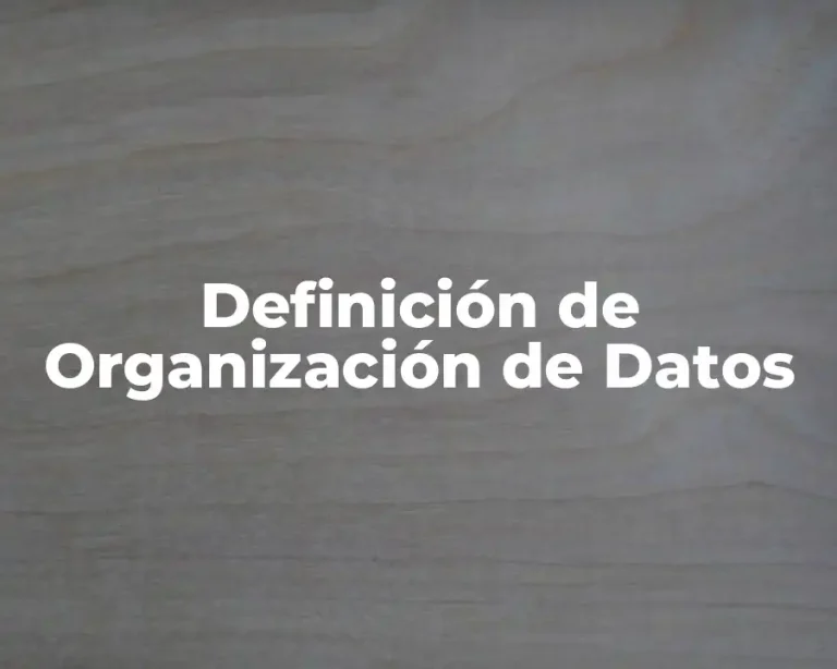 Definición de Organización de Datos