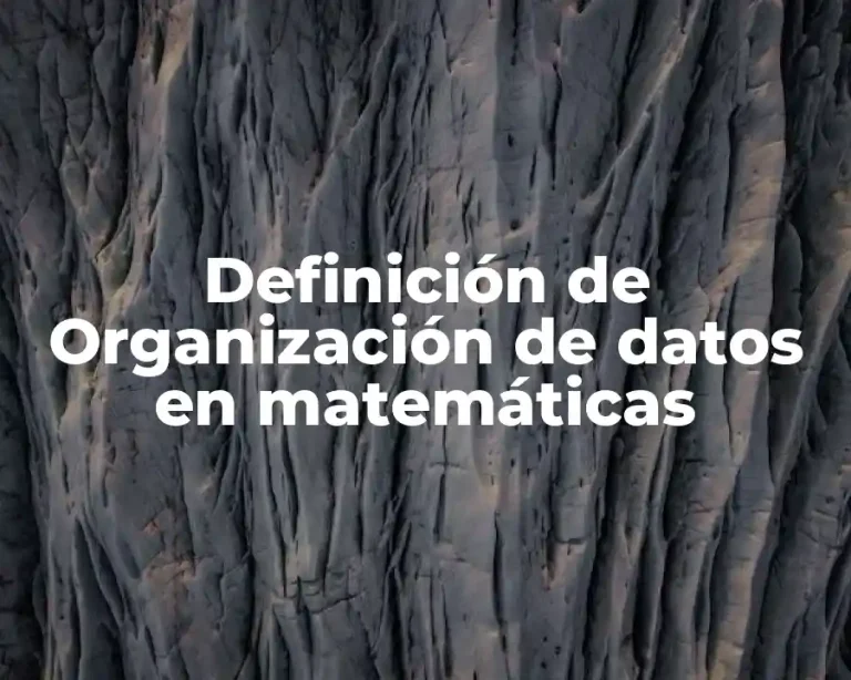 Definición de Organización de datos en matemáticas
