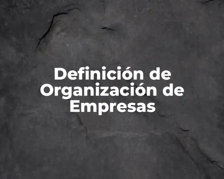Definición de Organización de Empresas