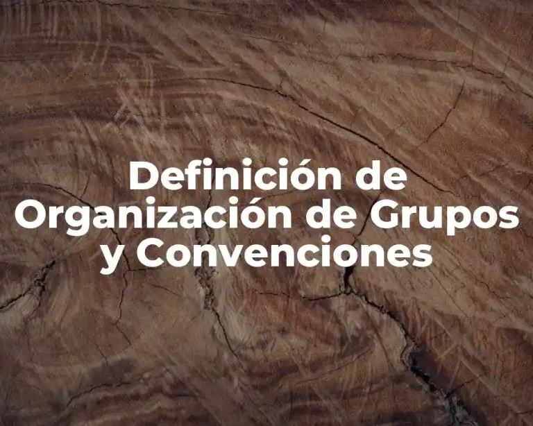 Definición de Organización de Grupos y Convenciones