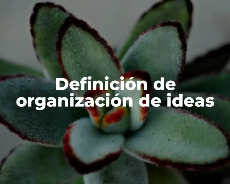 Definición de organización de ideas