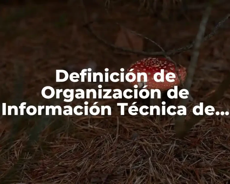 Definición de Organización de Información Técnica de Sistema Automotriz