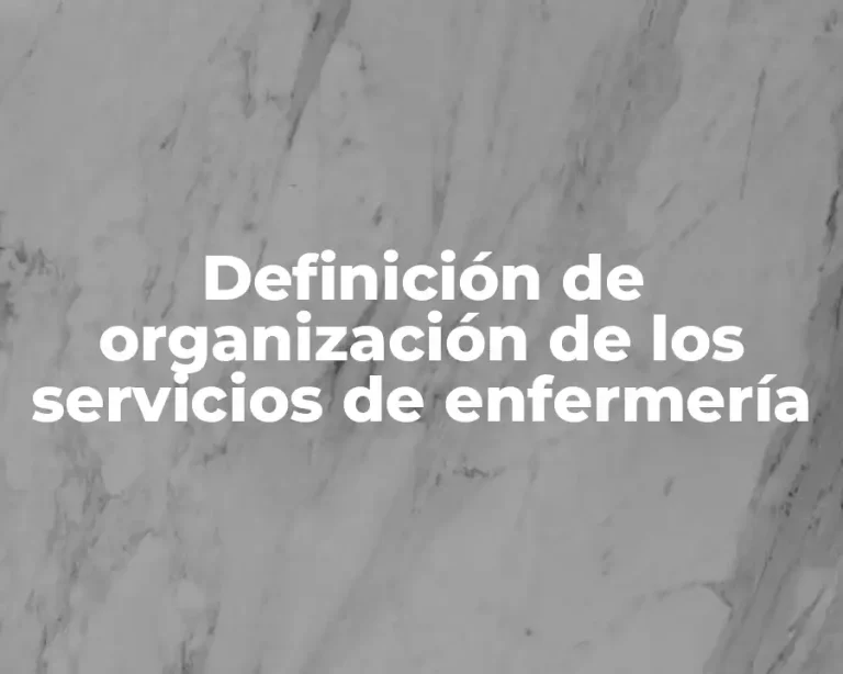 Definición de organización de los servicios de enfermería