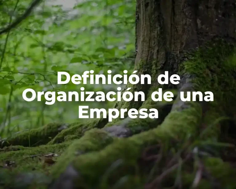 Definición de Organización de una Empresa