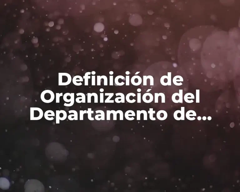 Definición de Organización del Departamento de Enfermería