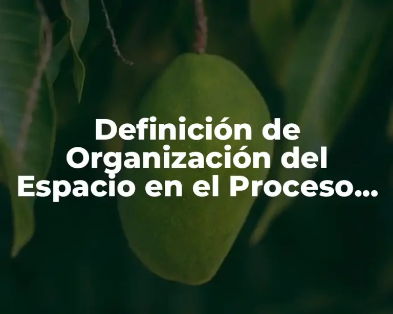 Definición de Organización del Espacio en el Proceso Educativo