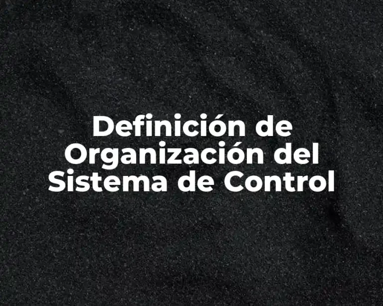 Definición de Organización del Sistema de Control