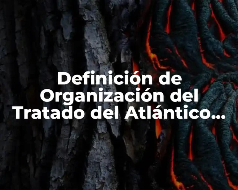 Definición de Organización del Tratado del Atlántico Norte