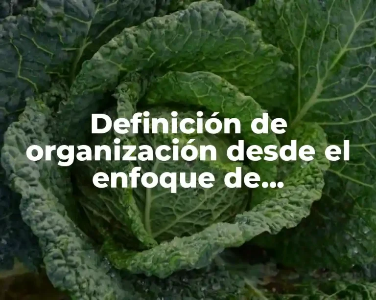 Definición de organización desde el enfoque de administración científica