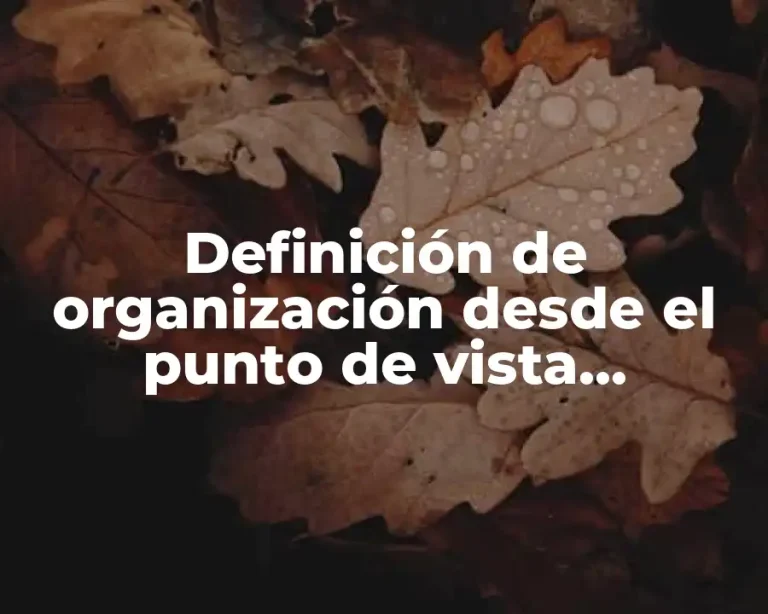 Definición de organización desde el punto de vista administrativo