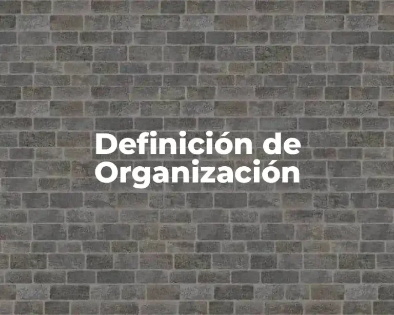 Definición de Organización