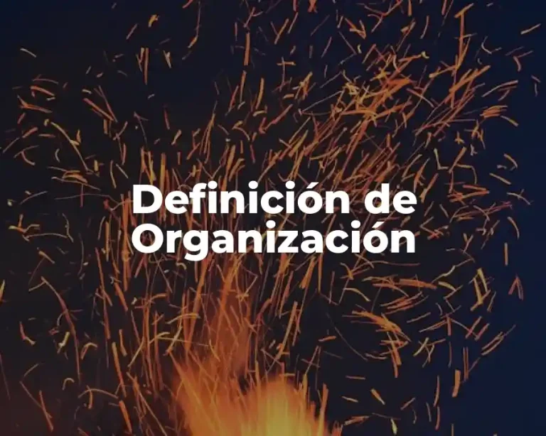 Definición de Organización